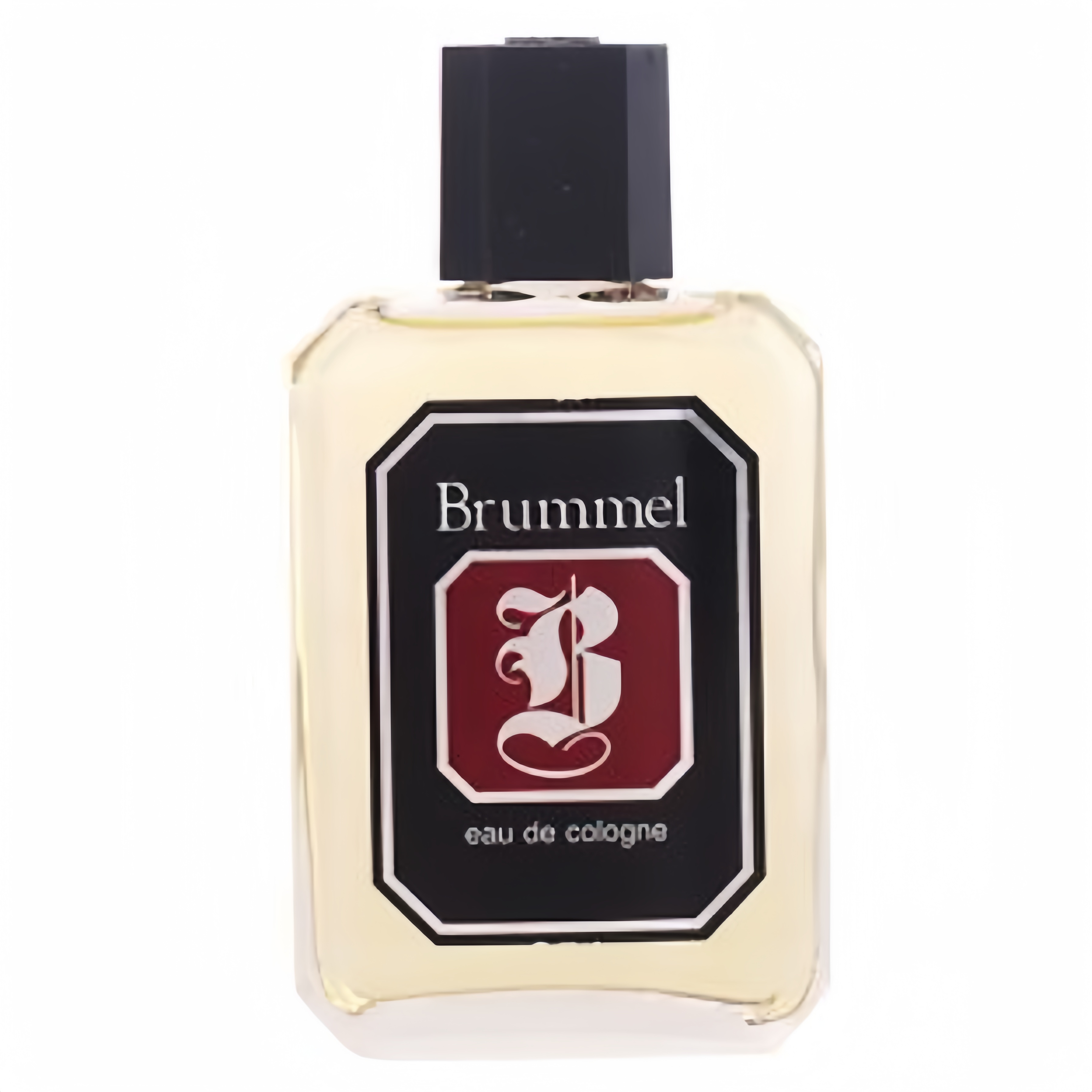 Brummel（1）.jpg